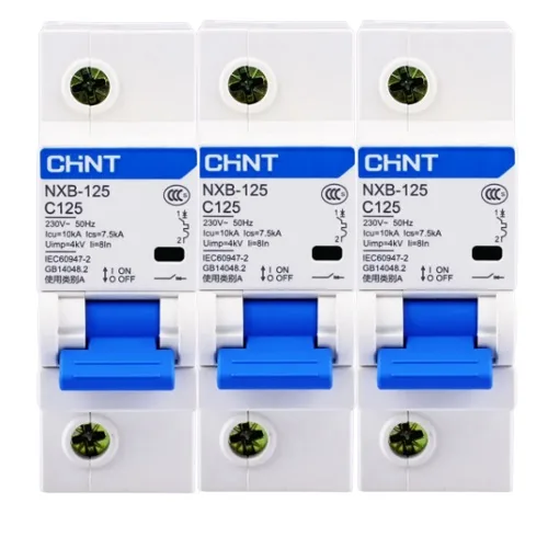 CHINT NXB-125 1P 2P DC MCB HIGH POWER MINIATURE CIRCUIT BREAKER 100A/125A