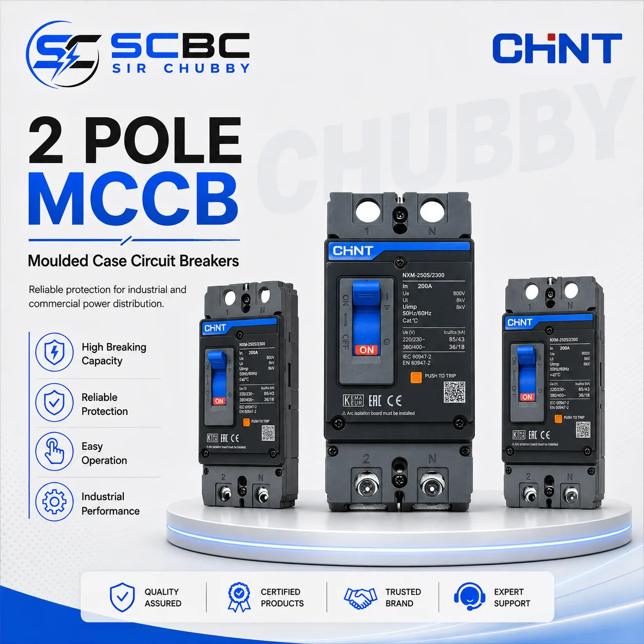 CHINT 2 POLE MOULDED CASE CIRCUIT BREAKER (MCCB) NXM-250S/2300 160A 250A